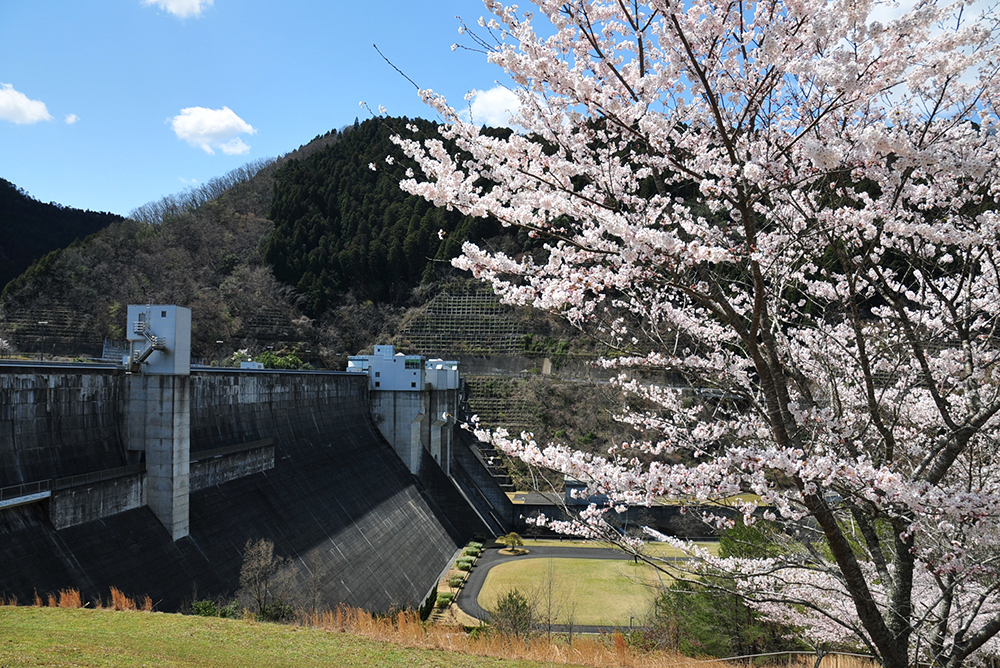 日吉ダム