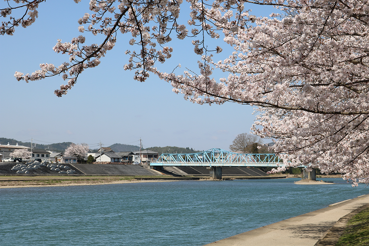 大堰川緑地公園