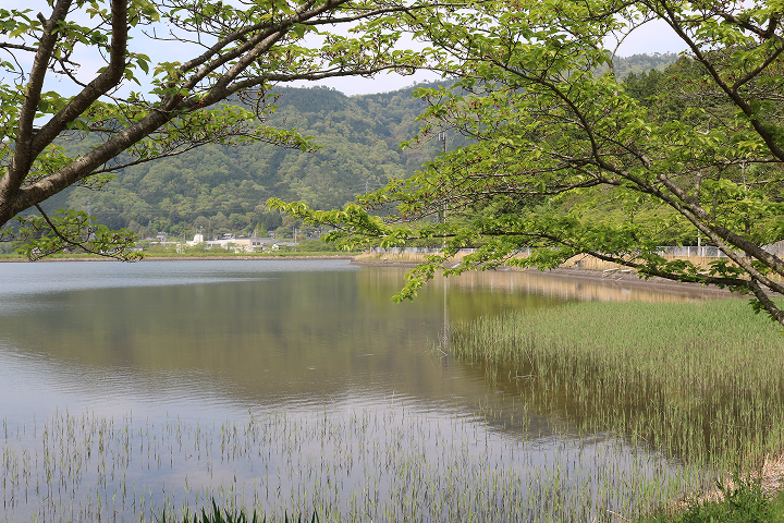 文覚ふれあい公園